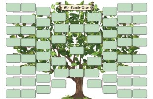 Com'è fatto un albero genealogico